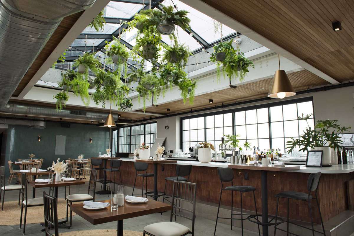 Bar and dining area with hanging plants and a skylight