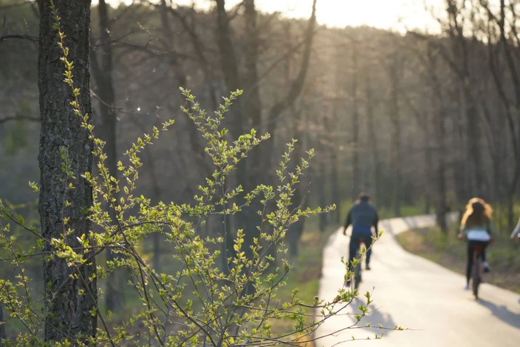 Bike trail