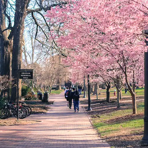 Chapel Hill Trail