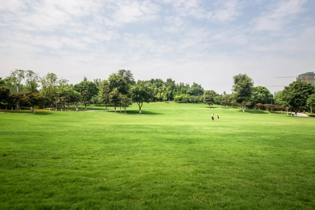 Park