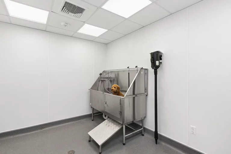 The Selby Dog Wash - View 18, Opens Model Box