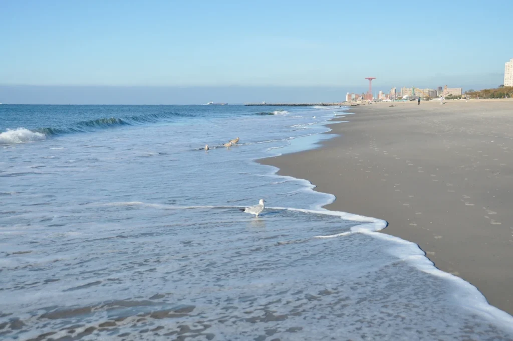 Shoreline of Brighton Beach, Brooklyn, NY