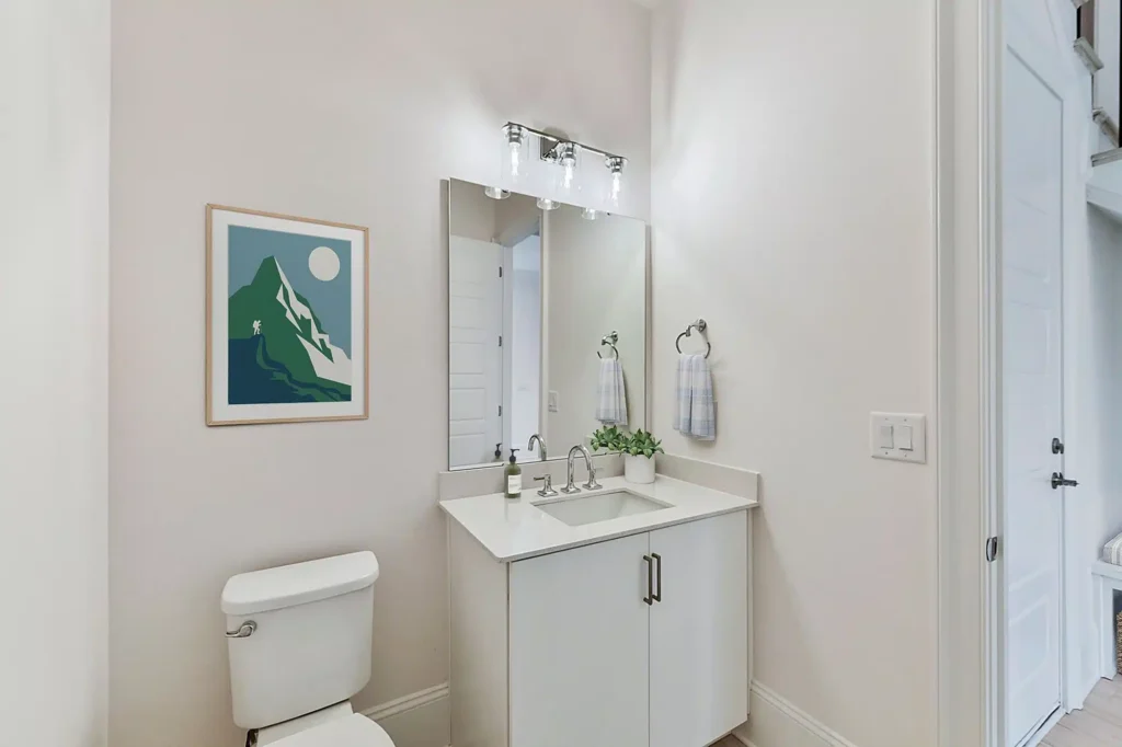 River Birch Powder - View 17, Opens Model Box