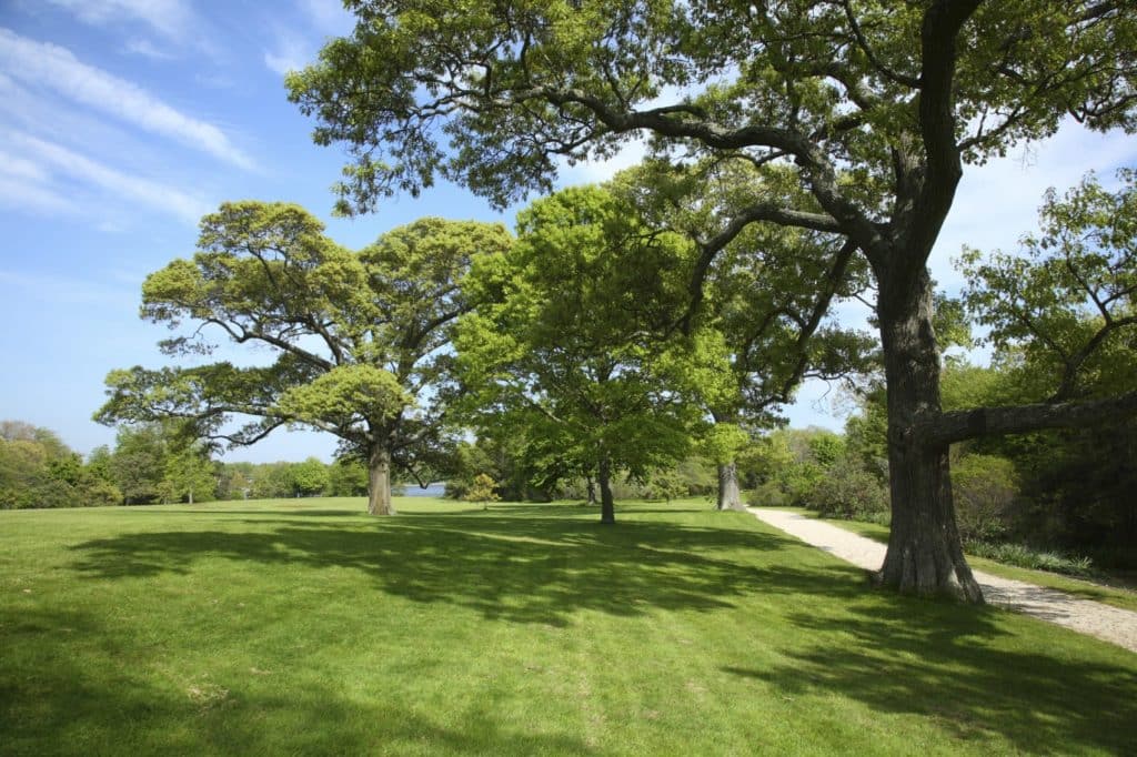 Meadowbrook Pointe East Meadow Parks