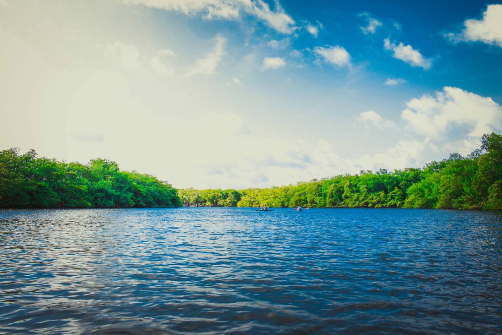 Oak Ridge Saratoga Lake