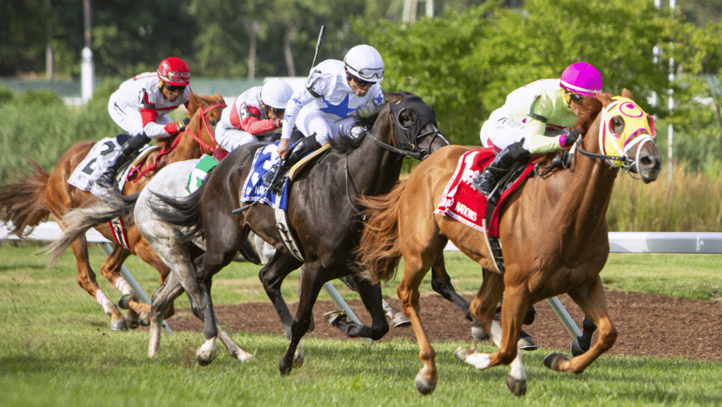 Therapist ridden by Javier Castellano, wins the Gr. 1 2023 United Nations Stakes at Monmouth Park.