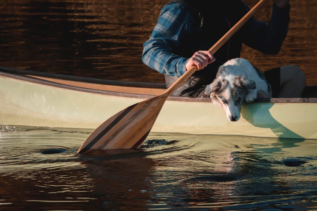 kayak W dog