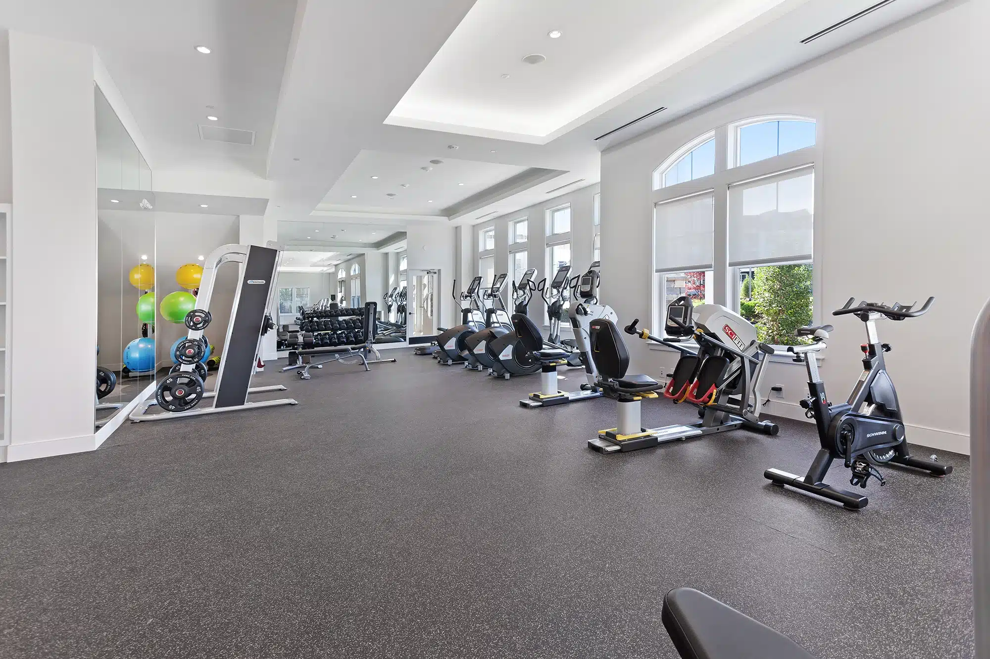 gym 1