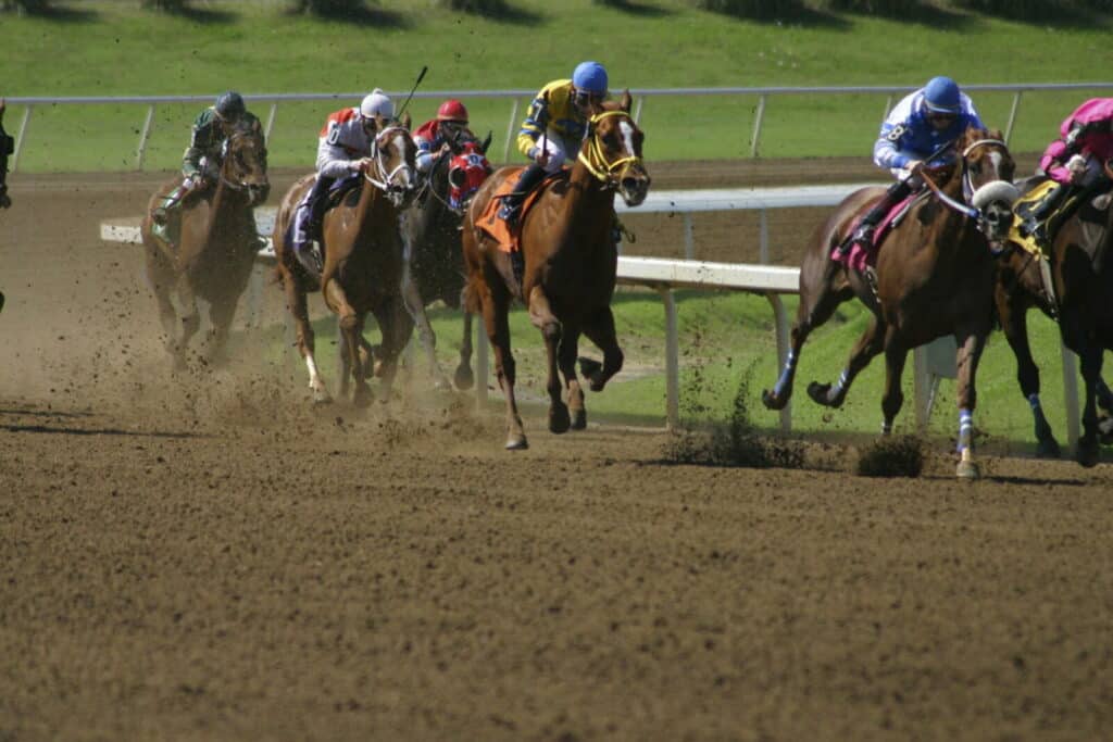 Horses Running Track