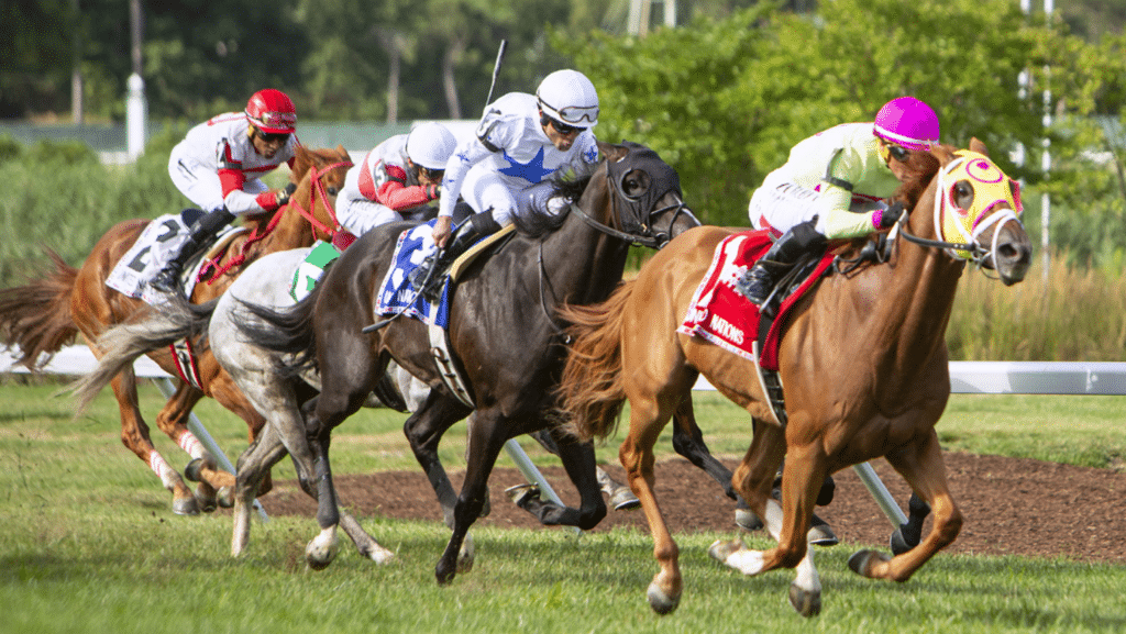 Therapist ridden by Javier Castellano, wins the Gr. 1 2023 United Nations Stakes at Monmouth Park.
