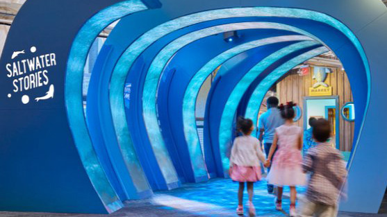 Long Island Childrens Museum